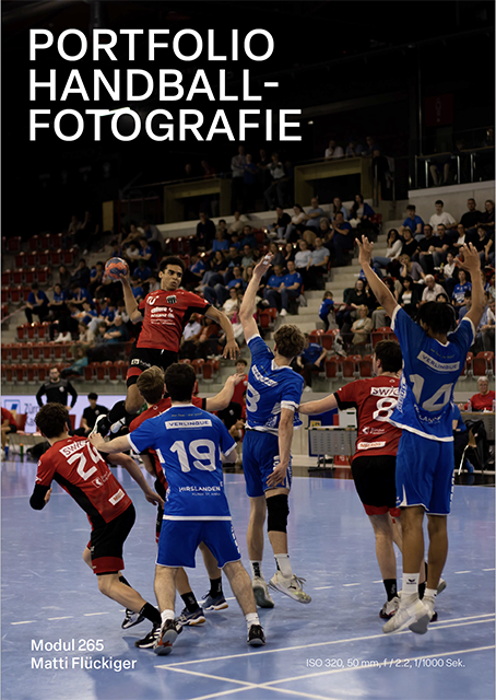 Portfolio Handballfotografie